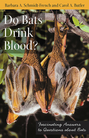 Do Bats Drink Blood?