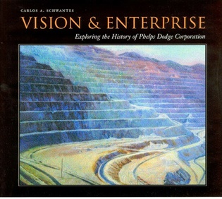 Vision and Enterprise