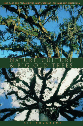 Nature, Culture, and Big Old Trees