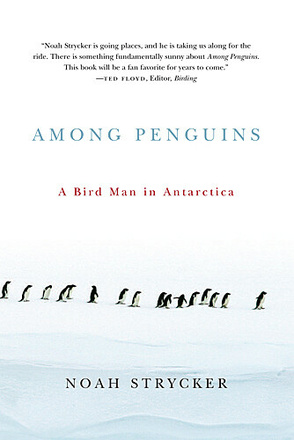 Among Penguins