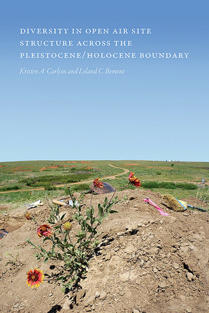 Diversity in Open-Air Site Structure across the Pleistocene/Holocene Boundary