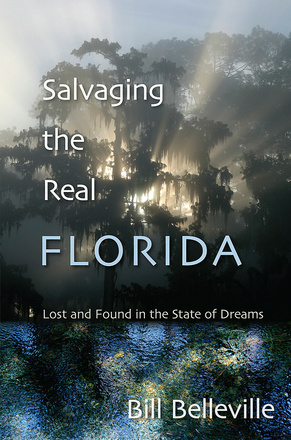 Salvaging the Real Florida