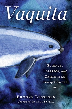 Vaquita