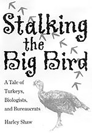 Stalking the Big Bird