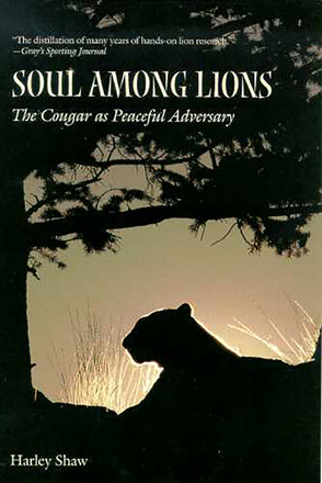 Soul among Lions