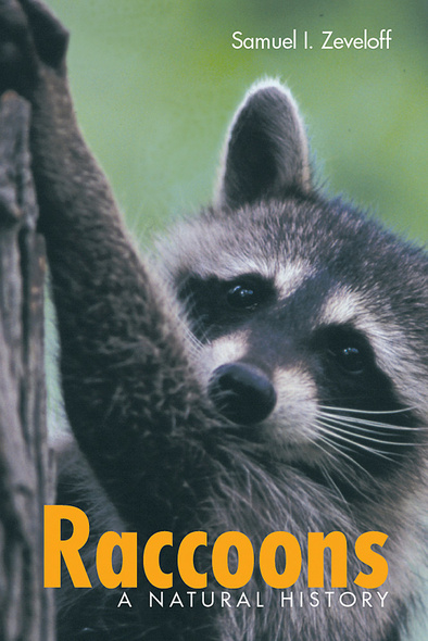 Raccoons