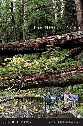 Hidden Forest, The