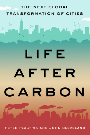 Life After Carbon