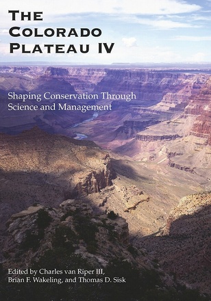 The Colorado Plateau IV