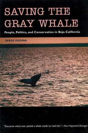 Saving the Gray Whale
