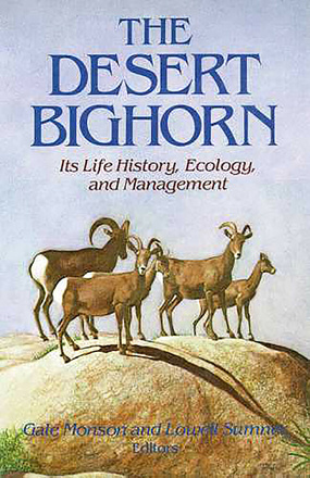 The Desert Bighorn