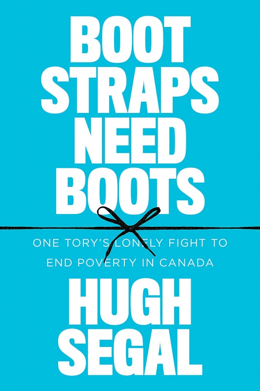 Book cover for Bootstraps Need Boots