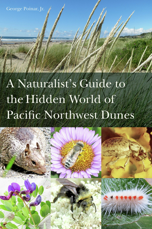 A Naturalist&#039;s Guide to the Hidden World of the Pacific Northwest Dunes