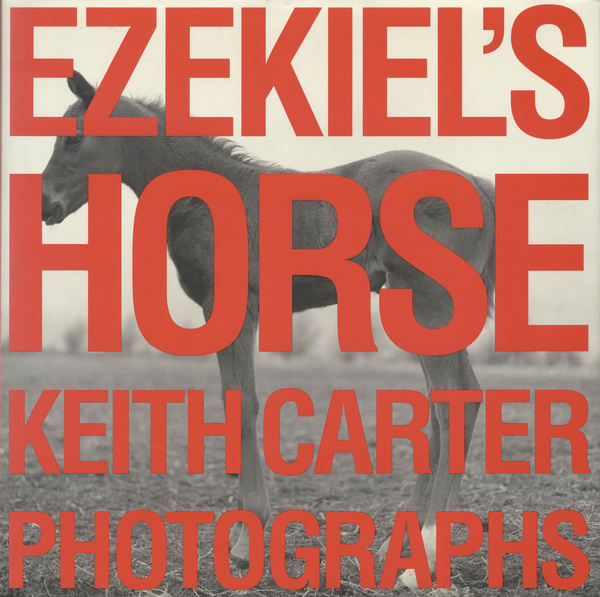 Ezekiel&#039;s Horse
