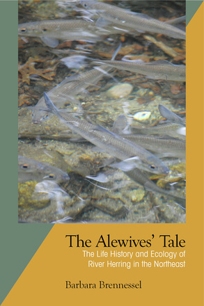 The Alewives&#039; Tale
