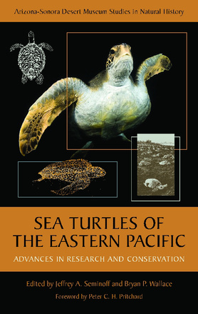 Sea Turtles of the Eastern Pacific