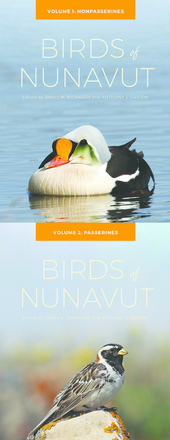 Birds of Nunavut