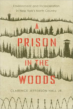 A Prison in the Woods