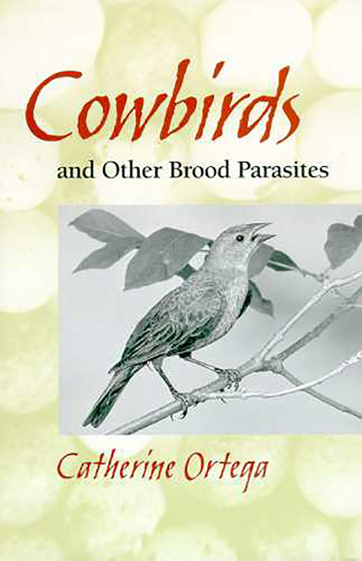 Cowbirds and Other Brood Parasites
