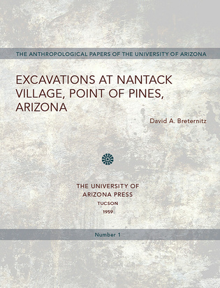 Excavations at Nantack Village, Point of Pines, Arizona