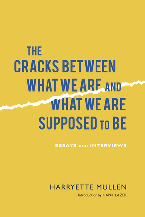 The Cracks Between What We Are and What We Are Supposed to Be