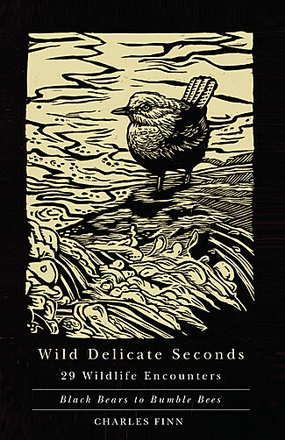 Wild Delicate Seconds