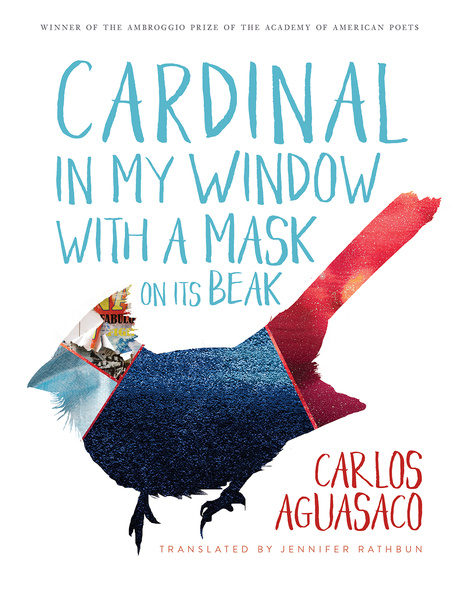 Cardinal in My Window with a Mask on Its Beak
