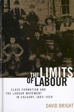 The Limits of Labour
