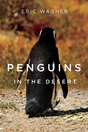 Penguins in the Desert