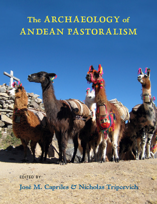 The Archaeology of Andean Pastoralism