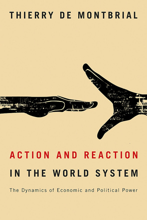 Action and Reaction in the World System
