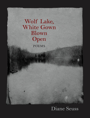 Wolf Lake, White Gown Blown Open