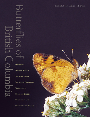 Butterflies of British Columbia