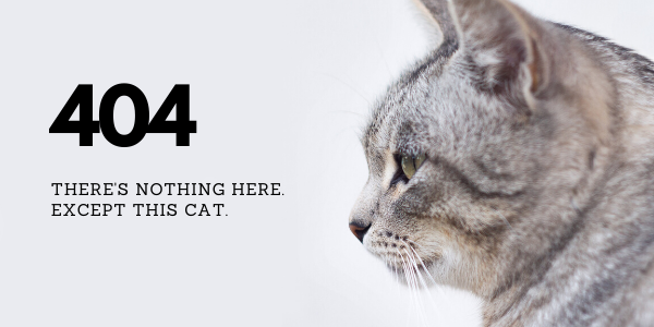 Image of cat with text reading 404. There's nothing to see here. Except this cat.